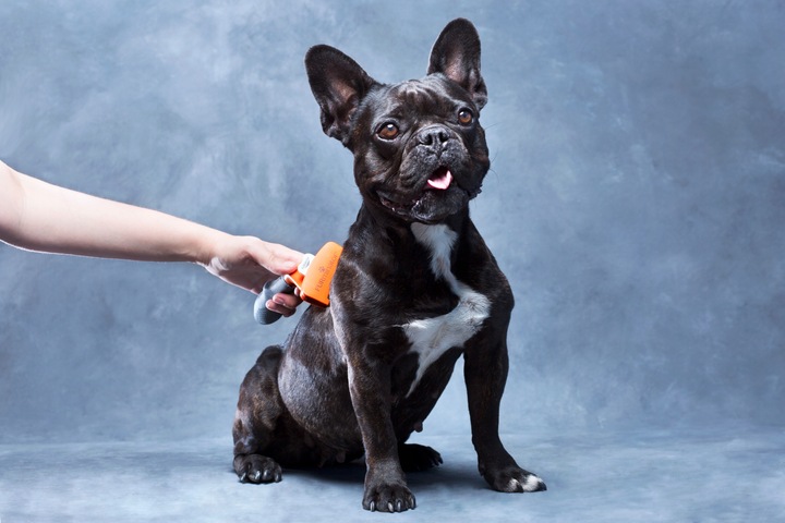 FURminator dla psów średnich sierść krótka M