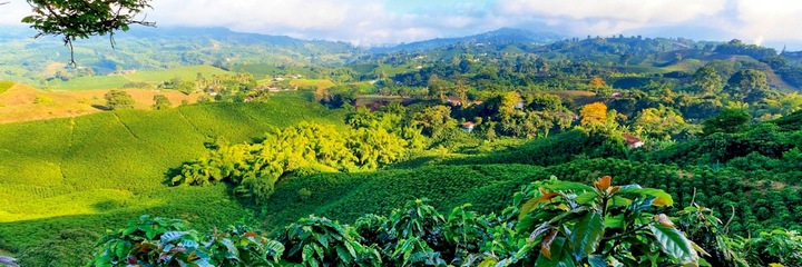 Kawa ZIELONA ziarno do palenia Nikaragua SHG 1kg