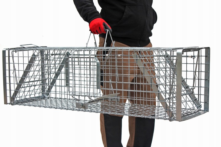 ZYWOŁAPKA PUŁAPKA NA KUNY LISY KOTY BOBRY WYDRY