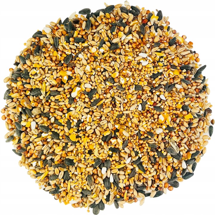 KARMA DLA PTAKÓW 10kg ZE SŁONECZNIK DROBNE ZIARNO DO KARMNIK + PLAKAT