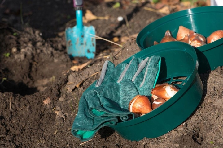 Koszyk 20x Osłonka do Sadzenia Cebulek Cebul Kwiatowych Bulw 22cm