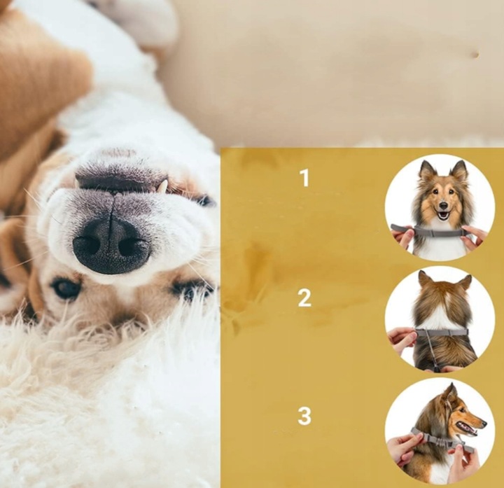 Obroża dla psa na kleszcze i pchły 63 cm – 8 miesięcy ochrony + GRATIS