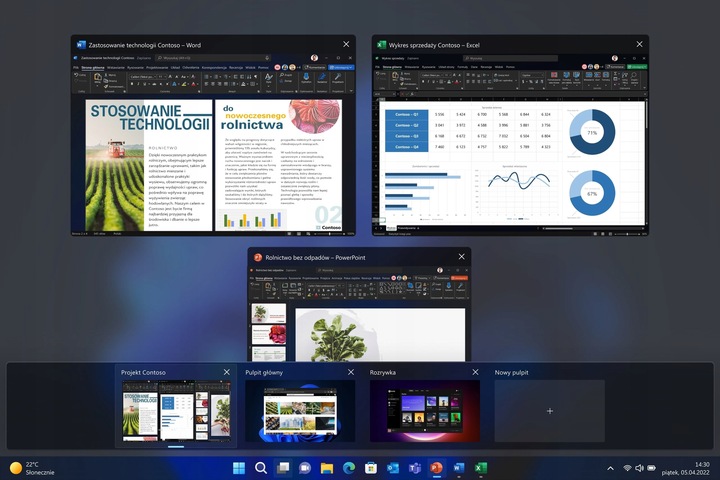 Program MICROSOFT Windows 11 Professional Box