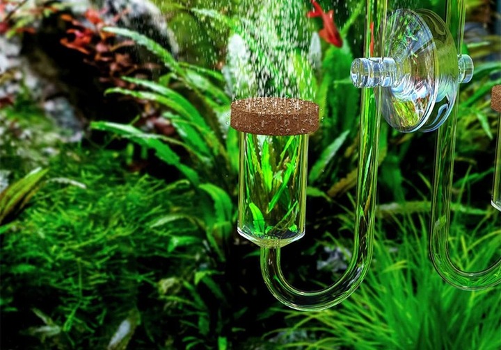 INVITAL komputer pH z sondą