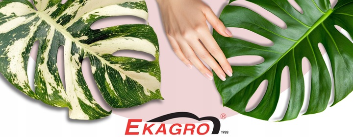 10L Bio Bigos Lekkie Uniwersalne Podłoże Ziemia do Kwiatów Monstery