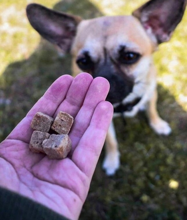 Kiwi Walker Snacks 100% królik, liofilizowane przysmaki dla psa kota 75g