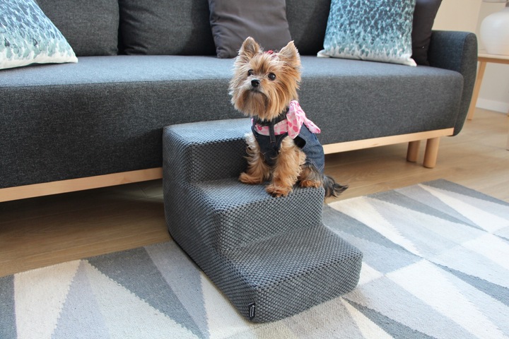 Schodki/schody dla psa