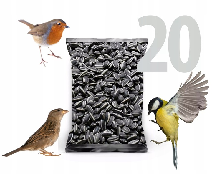 20kg Słonecznik Czarny nie Łuskany Ziarno na Zimę Karmnik dla Ptaków Champi