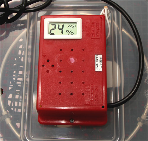 Inkubator wylęgarka na 60 jaj półautomat klujnik