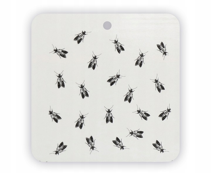 SILNA PUŁAPKA LEPOWA LEP NA MOLE SPOŻYWCZE PRZECIW MOLOM NO PEST (10