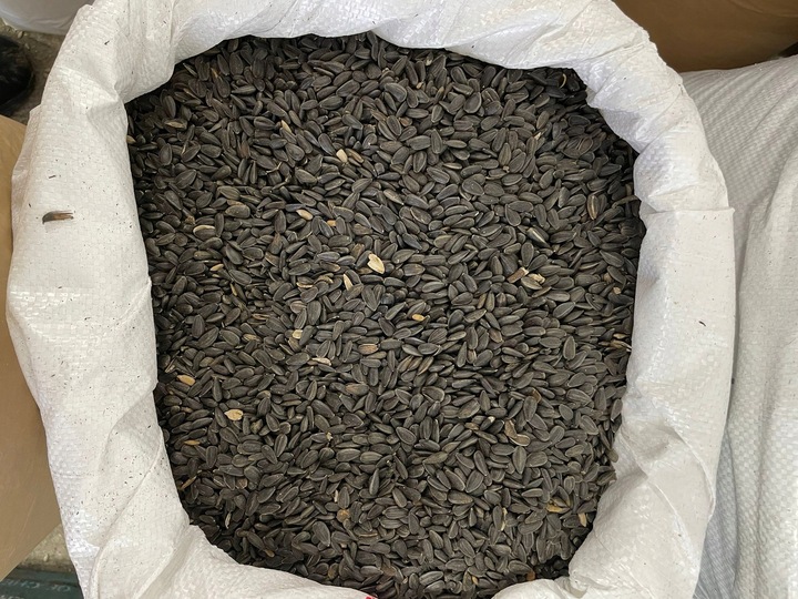 Czarny Słonecznik Ziarna Karma PREMIUM Dla Ptaków I Gołębi 20 kg