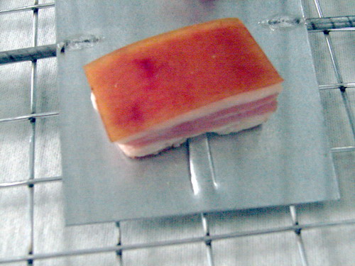 PROFESJONALNA PUŁAPKA ŻYWOŁAPKA KUNY SZCZURY ŁASKI NORKI ŁAPKA