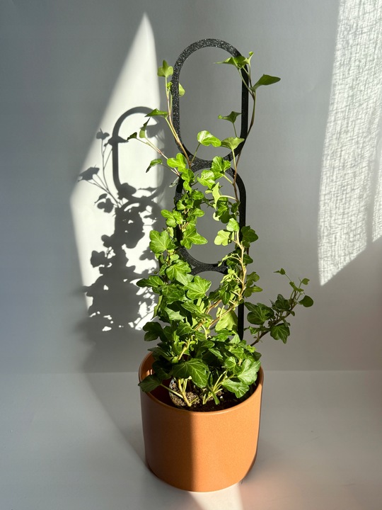 Podpora do Roślin Pnączy Podpórka Kwiatów Pnących Pergola Drabinka L