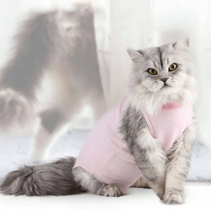 MIĘKKIE UBRANKO POOPERACYJNE DLA KOTA MOLLY S