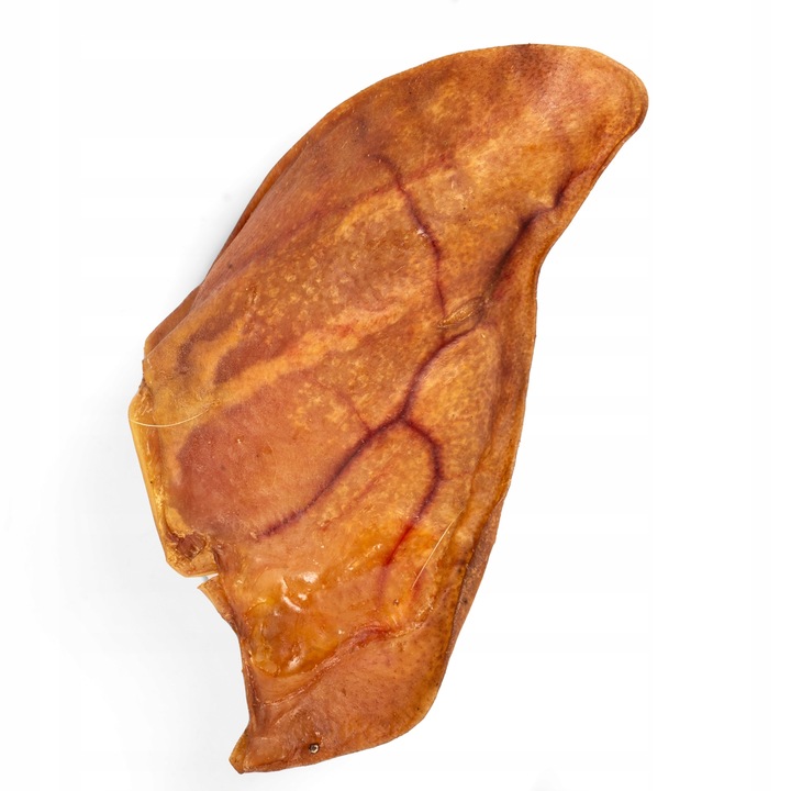 HOCKY Przekąska Przysmak Suszony Gryzak dla Psa Ucho Wieprzowe 10 szt.