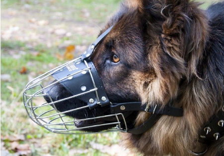 Kaganiec Dla Psa Metalowy Owczarek Niemiecki Pies