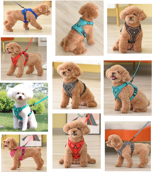 SZELKI BEZUCISKOWE TYPU GUARD + SMYCZ dla KOTA PSA