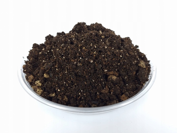 ZIEMIA DO KWIATÓW DONICZKOWYCH monstery palm juk zamiokulkasa