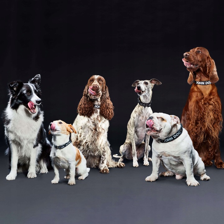 Torba transporter dla psa do 7kg John Dog