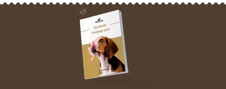 MISKI NA STOJAKU dla psa MAŁEGO STOJAK DREWNIANY bufet 2x0,45 L + treserki