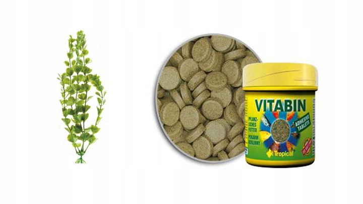 Zestaw 25l owalny LED 1W + wyposażenie Dzień I Noc