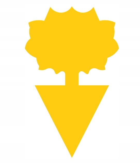 12x ŻÓŁTY LEP DO DONICZEK MOTYL na ziemiórki mszyce muszki owocówki owady