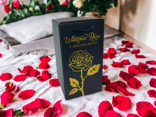 WIECZNA RÓŻA W SZKLE W KOPULE ŚWIECĄCA NA WALENTYNKI LED PREZENT PUDEŁKO