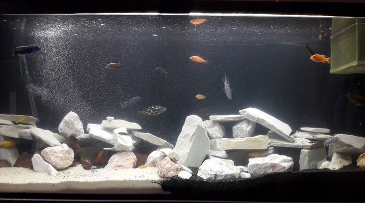 ŻWIREK CZARNY 1-3 mm PODŁOŻE DO AKWARIUM 25kg