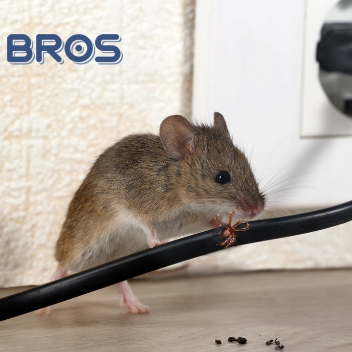 BROS LEP NA MYSZY SZCZURY GRYZONIE PUŁAPKA KLEJOWA WABIĄCA ZAPACHEM 12