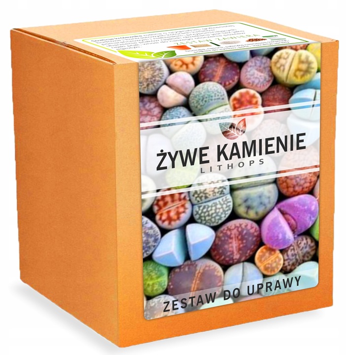 Zestaw do uprawy roślin Żywe Kamienie LITHOPS nasiona sukulenty Kolory