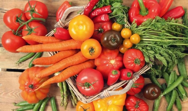 WOKAS KOMPOST OGRODNICZY 50L Użyźnia Ziemię WOKAS