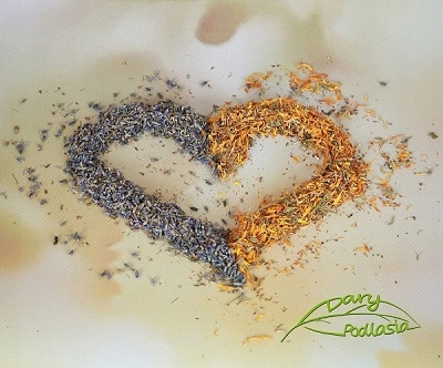 Matcha zielona herbata proszek -200g-Dary Podlasia