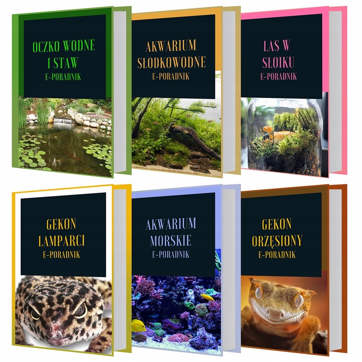 KRUGER MEIER NEOCLEAR 600 FILTR CICHA PRACA ENERGOOSZCZĘDNY 20-40L