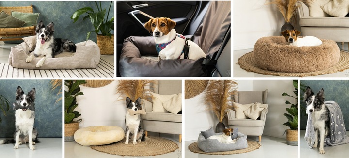 Fotelik samochodowy dla psa Transporter