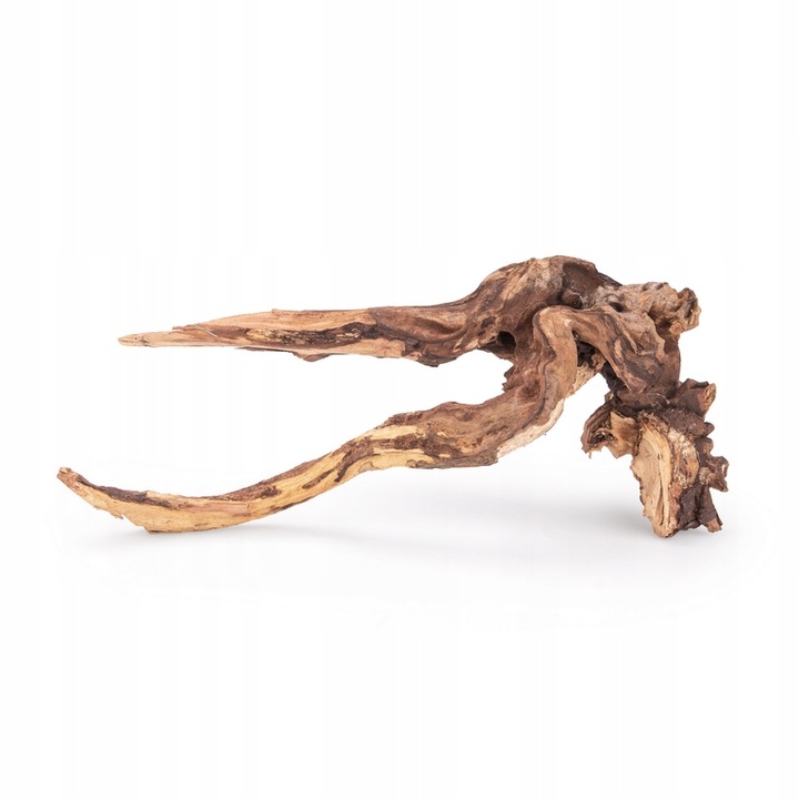 NATURALNY KORZEŃ DO AKWARIUM DESERT ROZMIAR M 20CM