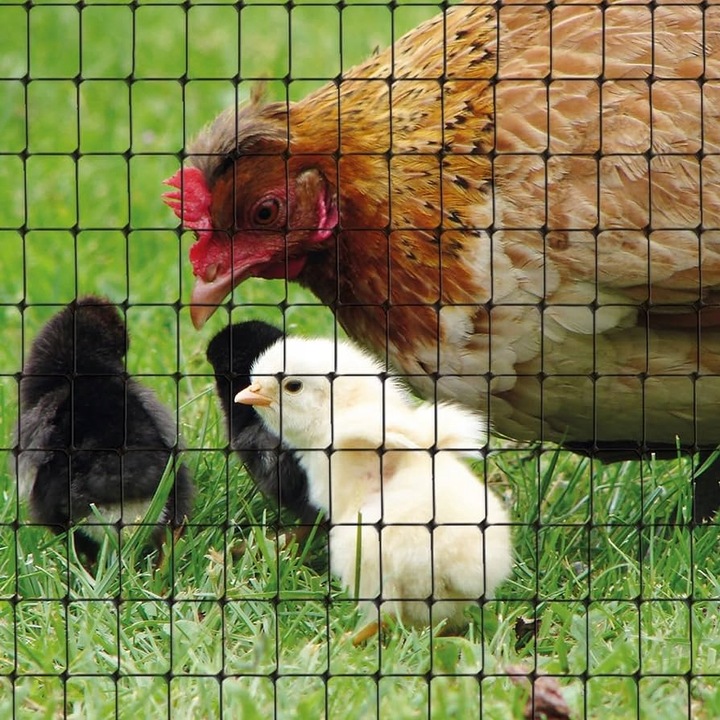 SIATKA NA KRETY 1x50m UV+ POLSKA MOCNA GĘSTA WYTRZYMAŁA PRZECIW KRETOM