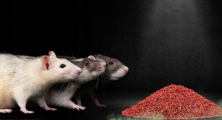 RATIMOR Trutka na myszy i szczury zbożowa Zatrute ziarno Bromadiolon