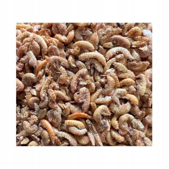 Naturalny Suszony Kiełż Syberyjski Gammarus Pokarm dla Żółwi Gadów 100g