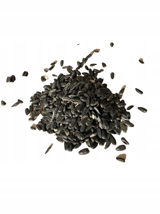 Słonecznik czarny 20 kg