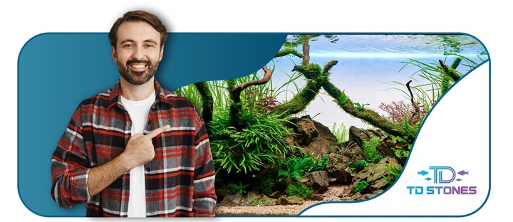 KORZEŃ DO AKWARIUM Red Moor Wood M 30cm OKAZY PREMIUM