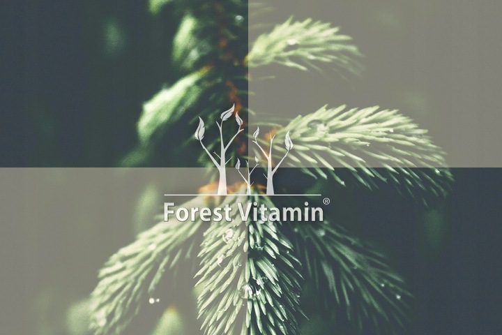 CZYSTA W PROSZKU NATTO Nattokinaza 25g UKŁAD KRĄŻENIA CIŚNIENIE KREW JAKOŚĆ