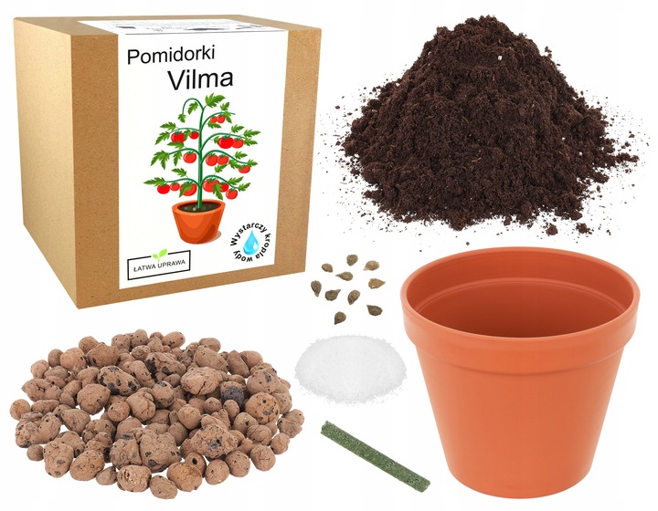 ZESTAW DO UPRAWY POMIDOR VILMA POMIDORY KOKTAJLOWE NASIONA 10x WIELOLETNIA