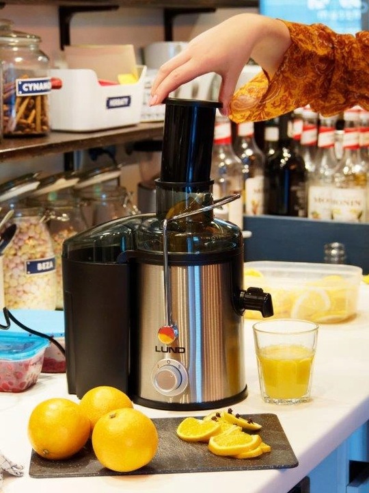 SOKOWIRÓWKA 600W WYSOKOOBROTOWA DO SOKÓW OWOCÓW WARZYW 2 PRĘDKOŚCI