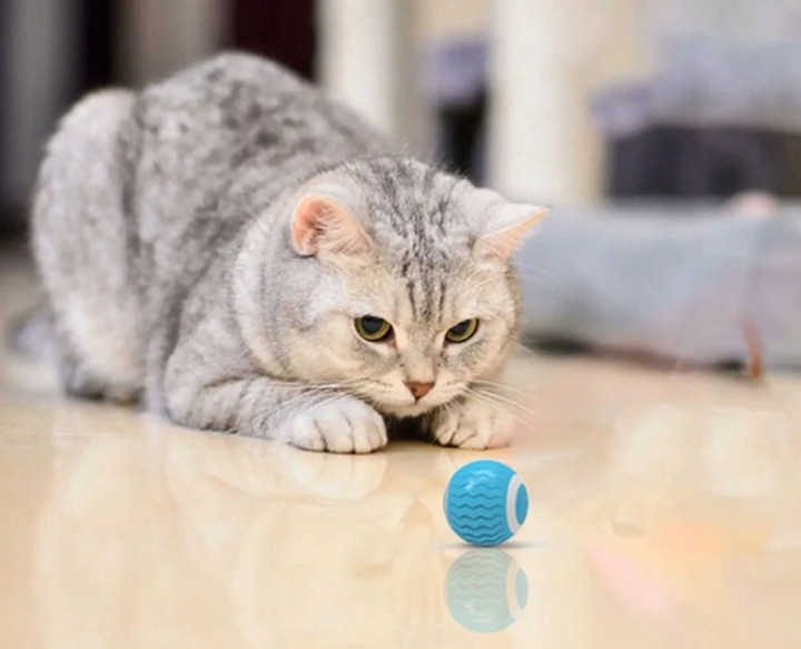 Inteligentna piłka dla kota ruchoma zabawka USB niebieska kula