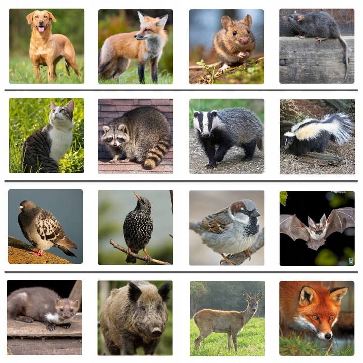 ODSTRASZACZ ZWIERZĄT KOTÓW PSÓW DZIKÓW SAREN PTAKÓW ITP + Lokalizator