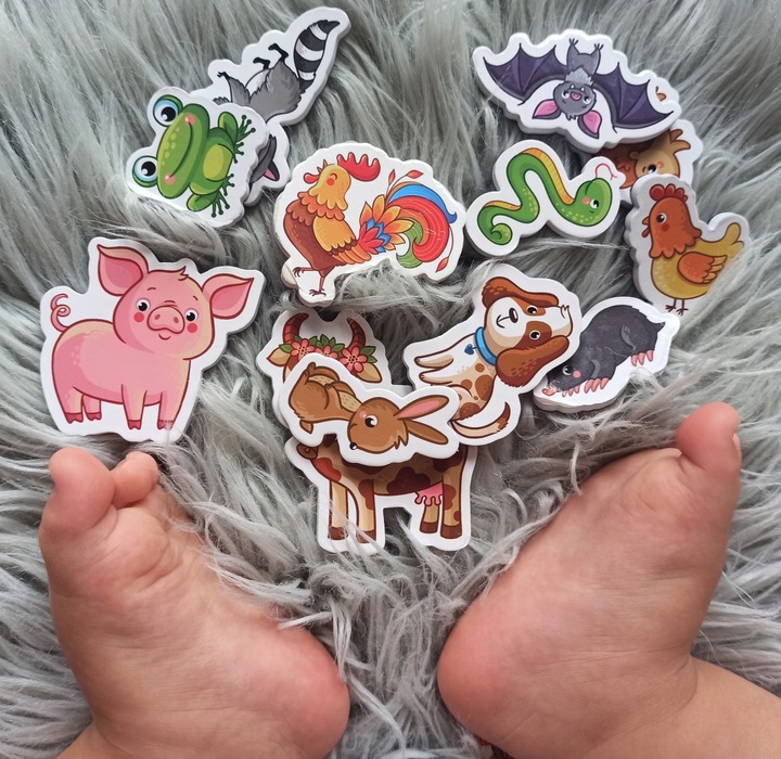 MAGNESY NA LODÓWKĘ DLA DZIECI ZESTAW EDUKACYJNY ZWIERZĘTA PREZENT 30