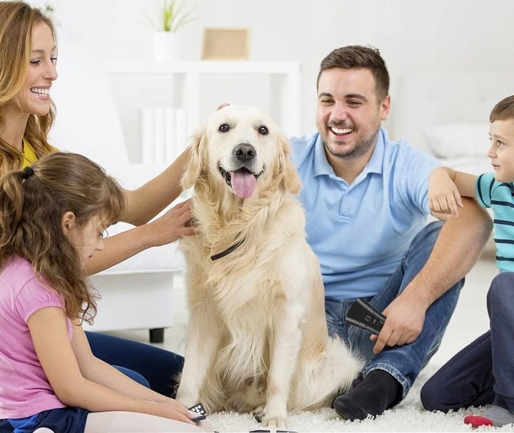 Ultradźwiękowy Odstraszacz Psów Treser Elektryczny z Latarką LED