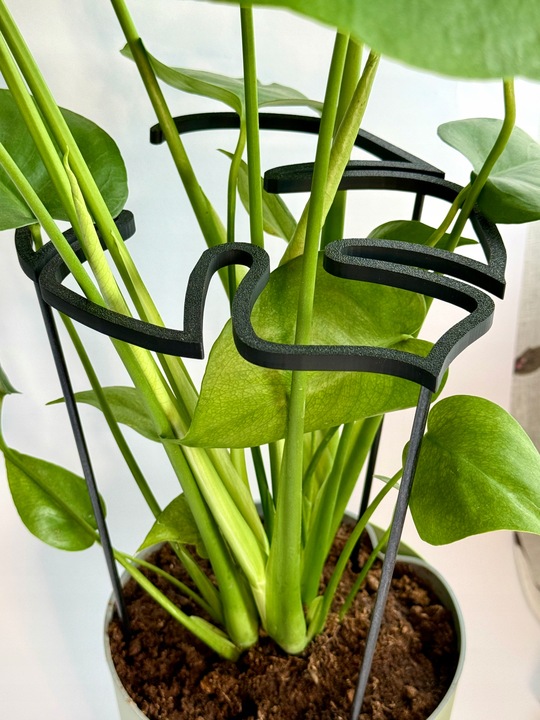 Podpora Roślin Kwiatów Obejma Pierścieniowa Podpórka RING MONSTERA L