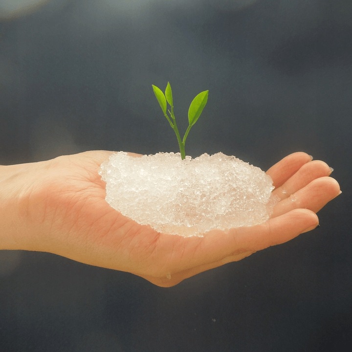 AGROŻEL Hydrożel Ogrodniczy do Roślin 2 Kg