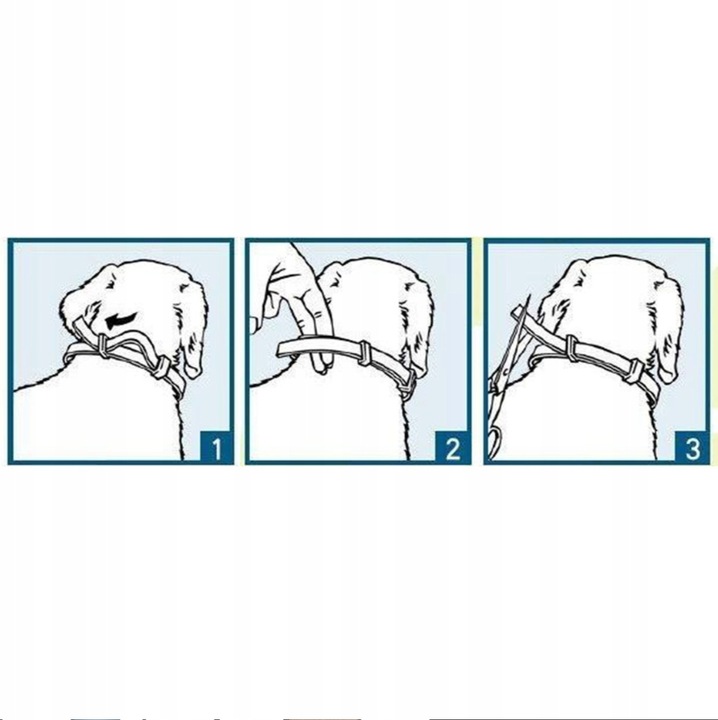 Obroża dla psa na kleszcze i pchły 63 cm – 8 miesięcy ochrony + GRATIS
